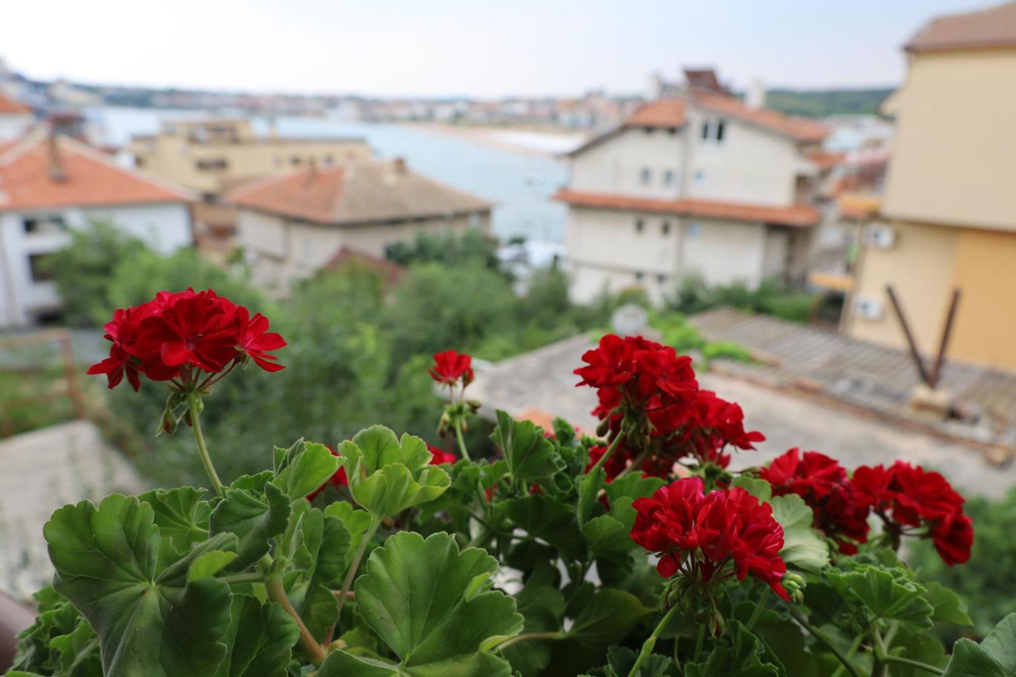 Kalina Guest Rooms Sozopol Luaran gambar